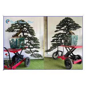 BÀN NÂNG THỦY LỰC PTS1000B (1000KG) VẬN HÀNH BẰNG CƠ BÀN NÂNG THỦY LỰC PTS1000B (1000KG) VẬN HÀNH BẰNG CƠ