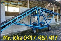 BĂNG TẢI CÁNH BƯỚM MIỀN NAM BĂNG TẢI CÁNH BƯỚM MIỀN NAM