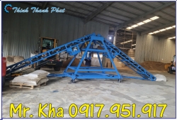 BĂNG TẢI CÁNH BƯỚM XUẤT NHẬP HÀNG TTP BĂNG TẢI CÁNH BƯỚM XUẤT NHẬP HÀNG TTP